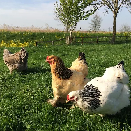 Bed & Breakfast De Donk