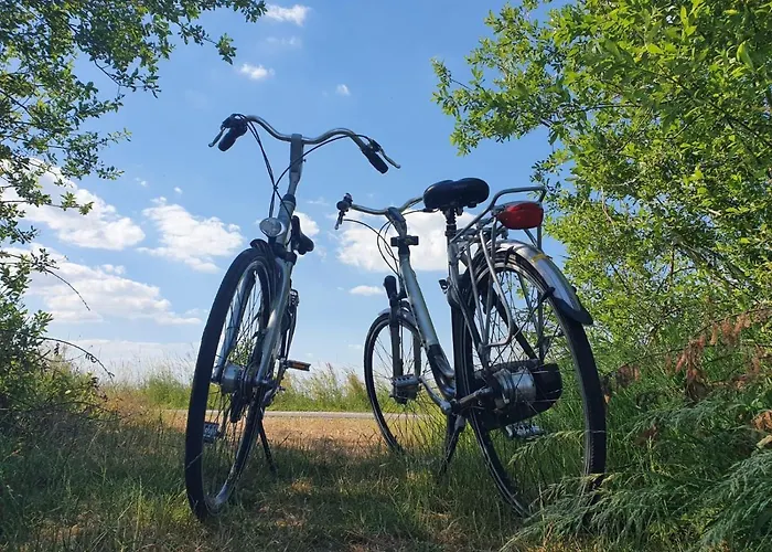 Bed & Breakfast De Donk